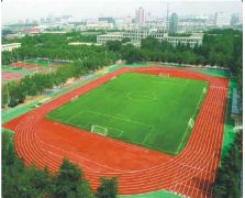 体育球场2